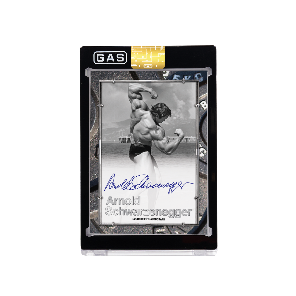 Arnold Schwarzenegger Built to Perfection Deluxe Base GAS Cards Tin Box Set