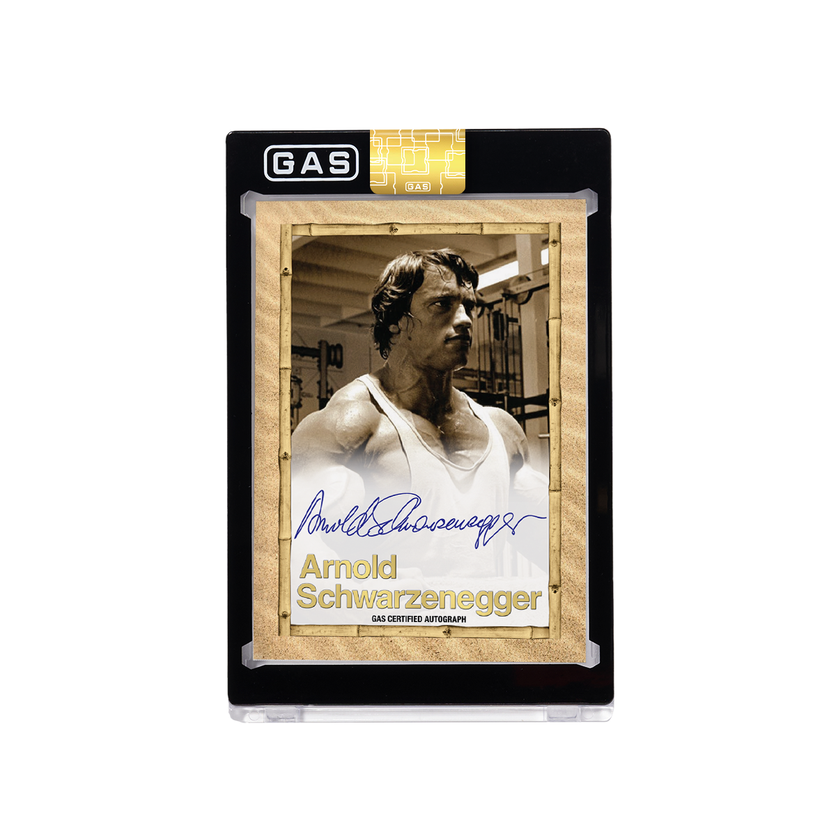 Arnold Schwarzenegger Built to Perfection Deluxe Base GAS Cards Tin Box Set