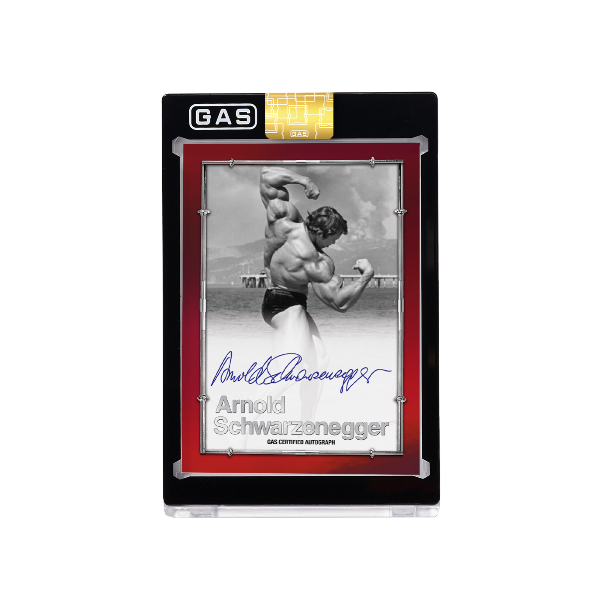 Arnold Schwarzenegger Built to Perfection Deluxe Base GAS Cards Tin Box Set