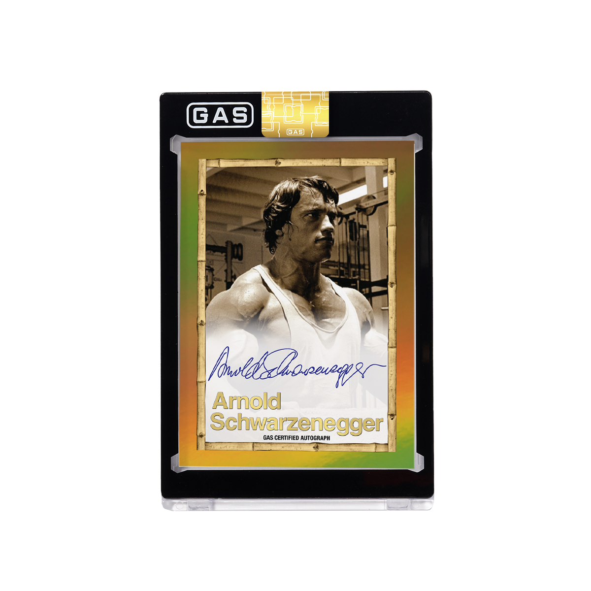 Arnold Schwarzenegger Built to Perfection Deluxe Base GAS Cards Tin Box Set