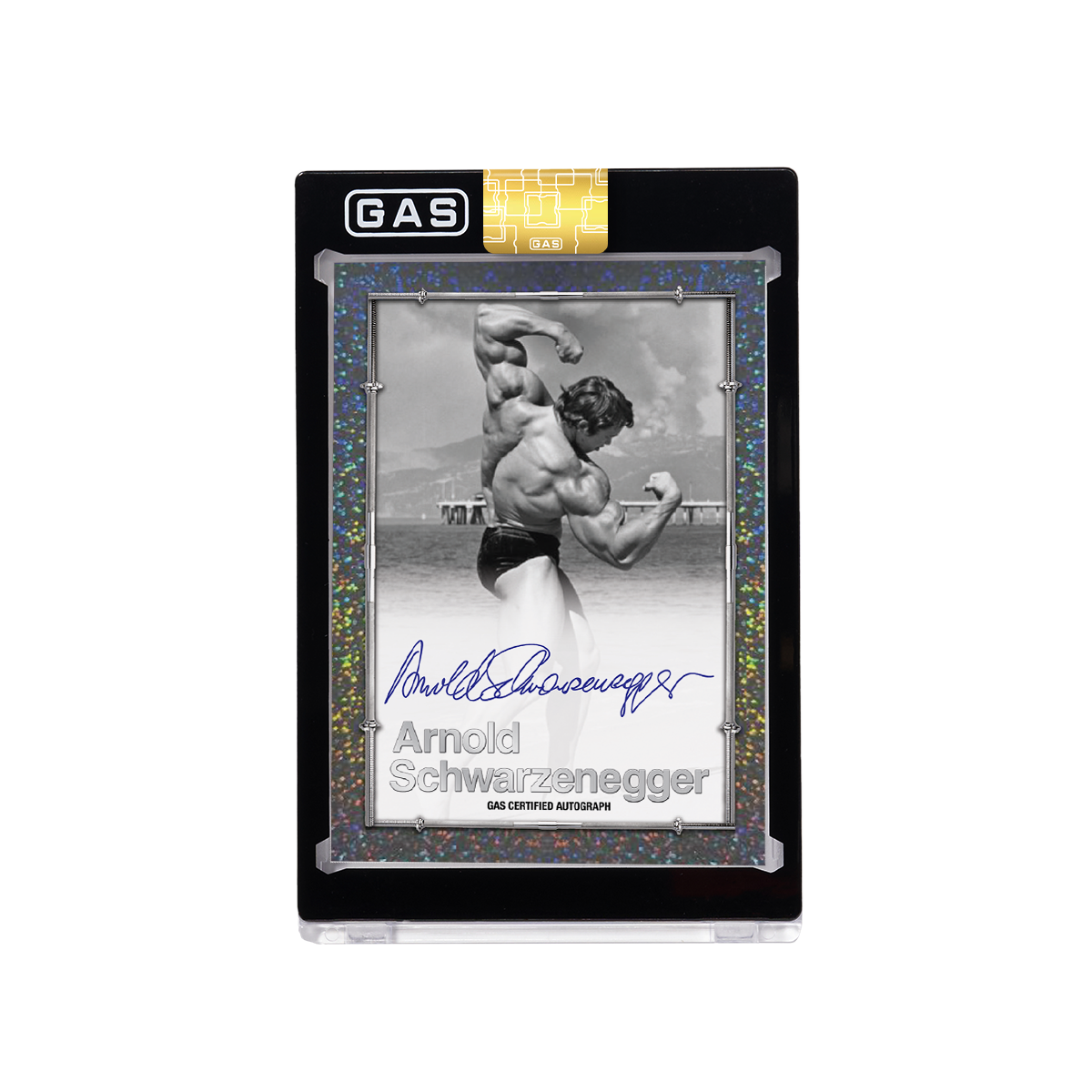 Arnold Schwarzenegger Built to Perfection Deluxe Base GAS Cards Tin Box Set