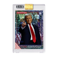 Limited Edition Donald Trump Wins the Election Cracked Foil GAS Trading Card