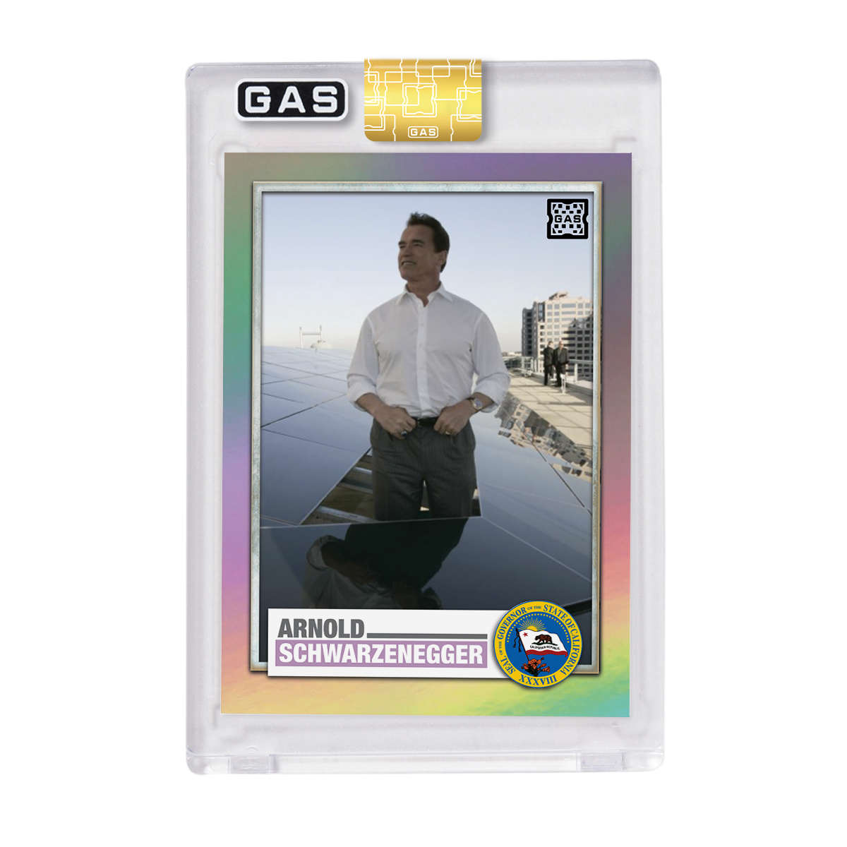 Arnold Schwarzenegger Governator 20th Anniversary GAS Trading Cards Set