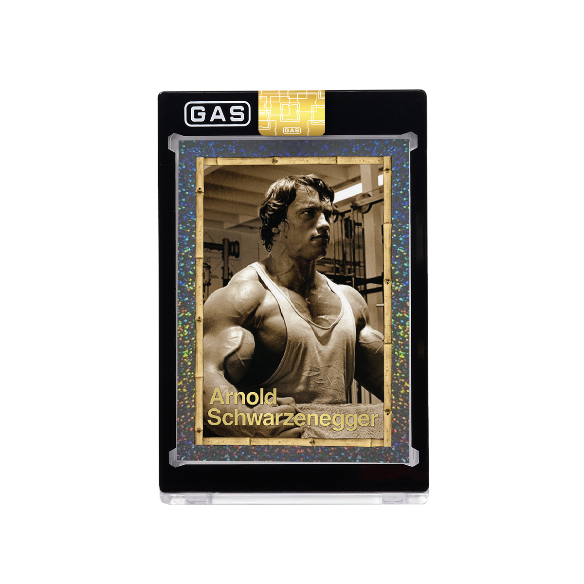Arnold Schwarzenegger Built to Perfection Deluxe Base GAS Cards Tin Box Set